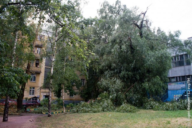 Последствия урагана в Лефортово