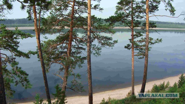 Река Лена