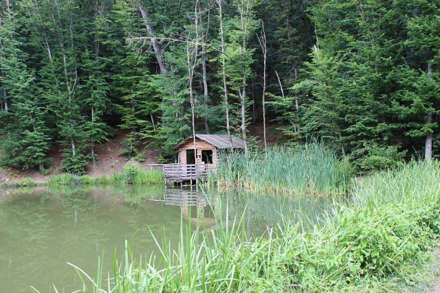 Отчёт о поездке в Крым 12.07 - 29.07