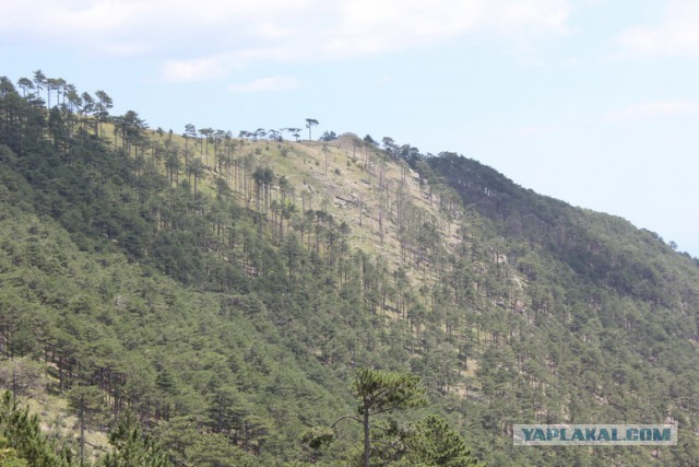 Дорога из Киева и из Москвы в Ялту.