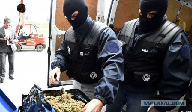 Почему бы не Пожабить?) 18+