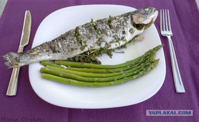 Тема памяти БоРмАnа и Дженибека, Готовим по рецептам ребят