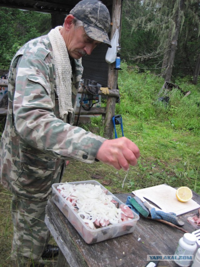 Сибирь 2015