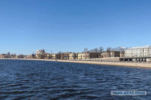 Проспекты Санкт-Петербурга, продолжение