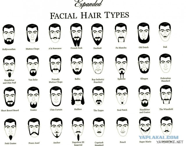 Насколько борода украшает мужчину