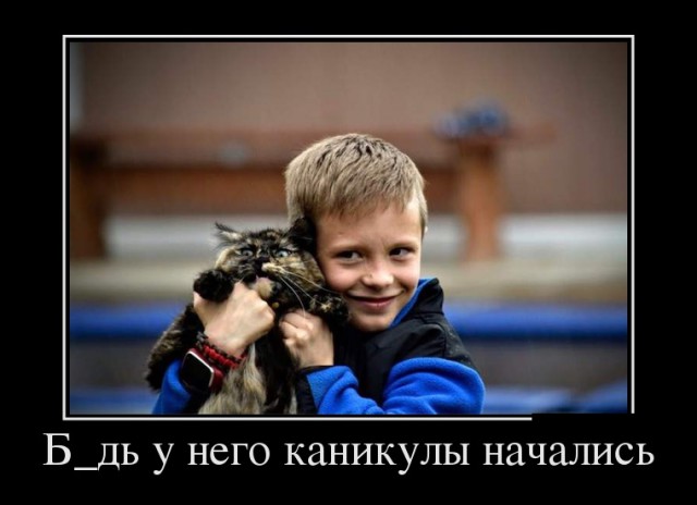 "Оскара" - котикам!