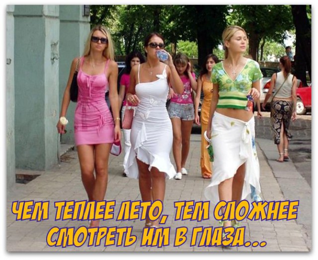 Порция картинок из сети