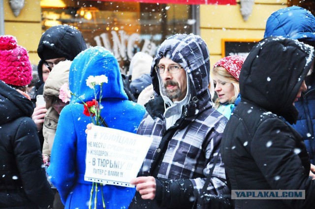 Питер против насилия