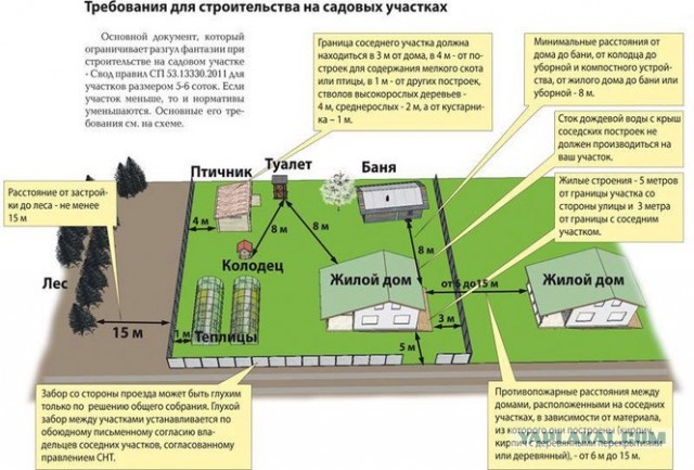 Как мы проводим свободное время!