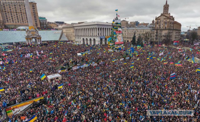 Реакция "Братского" народа на убийство посла