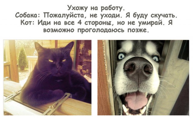 150 картинки для поднятия настроения!