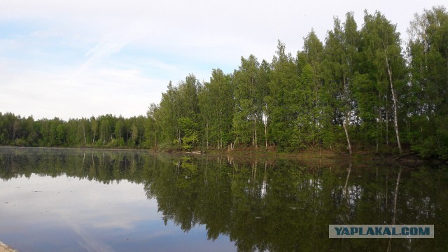 Родина. Костромская область.