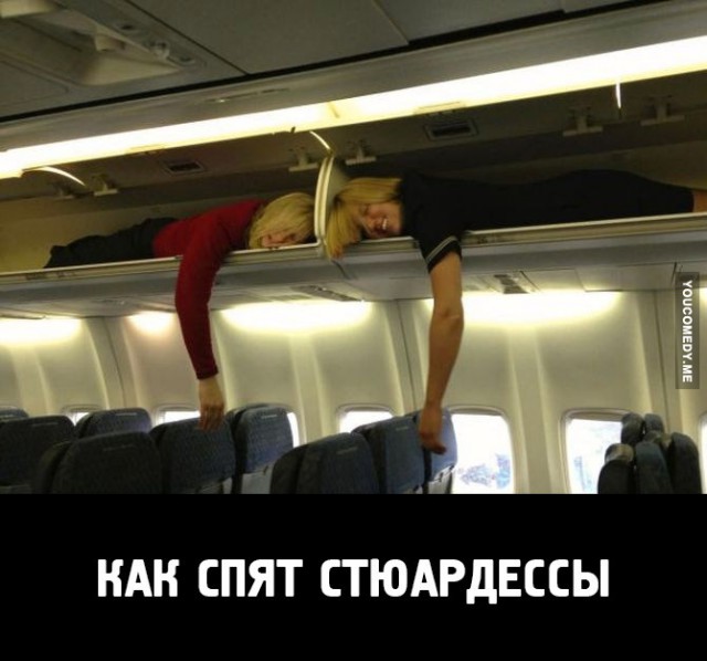 Полеты нагишом, стюардессы в купальниках и другие самые необычные услуги авиакомпаний