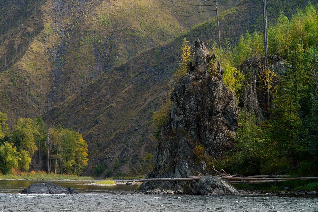 Таёжная река