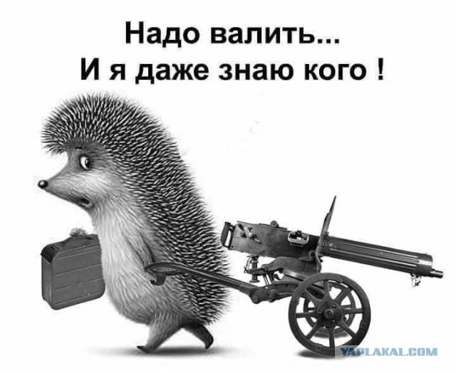 Прямая линия 20.06.2019