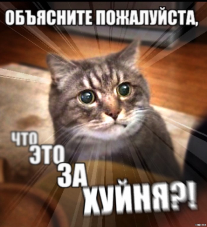 Татуировать домашнего любимца? Госдума решила, что это важно