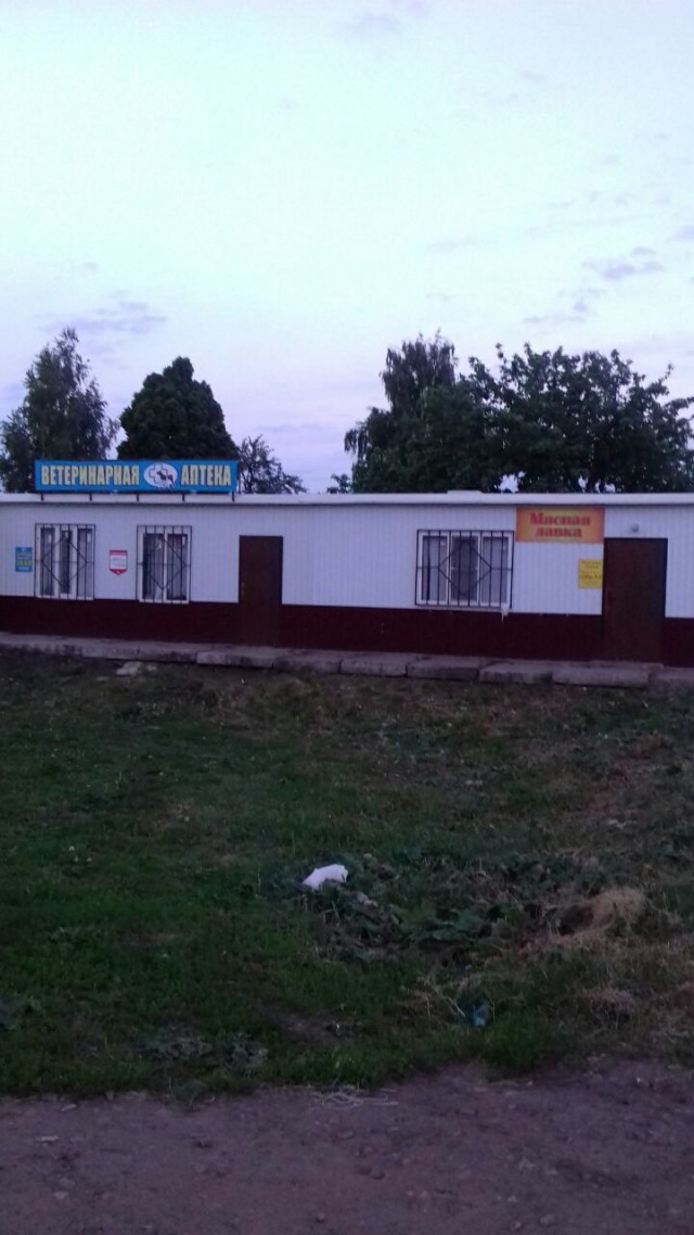 Подборка забавных реклам и объявлений