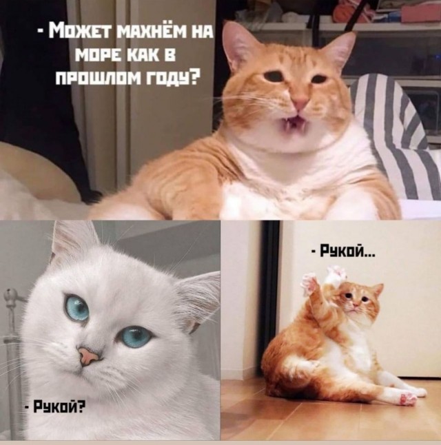 Картинки с надписями и всякие жизненные фразы 1.05.21