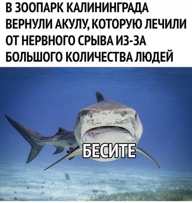 Чуток картинок 04.02.22