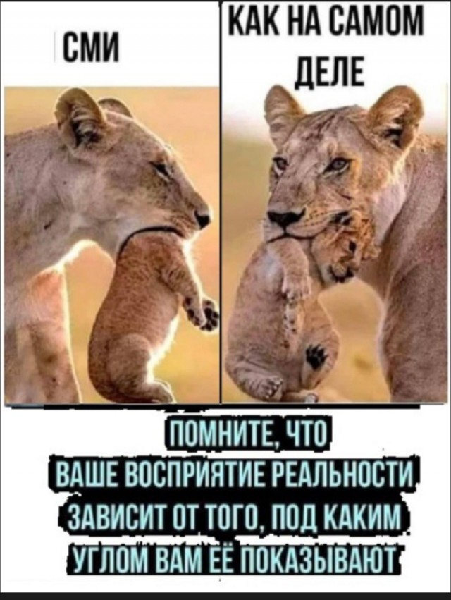 Как делаются фейки.