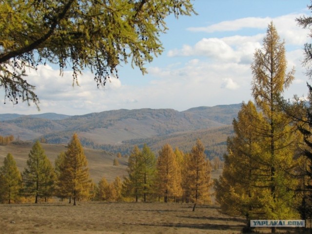 Горный Алтай в первый раз