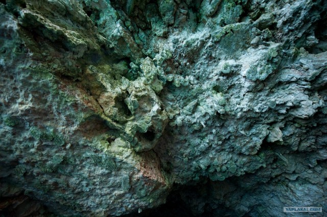 Поездка в Хорватию