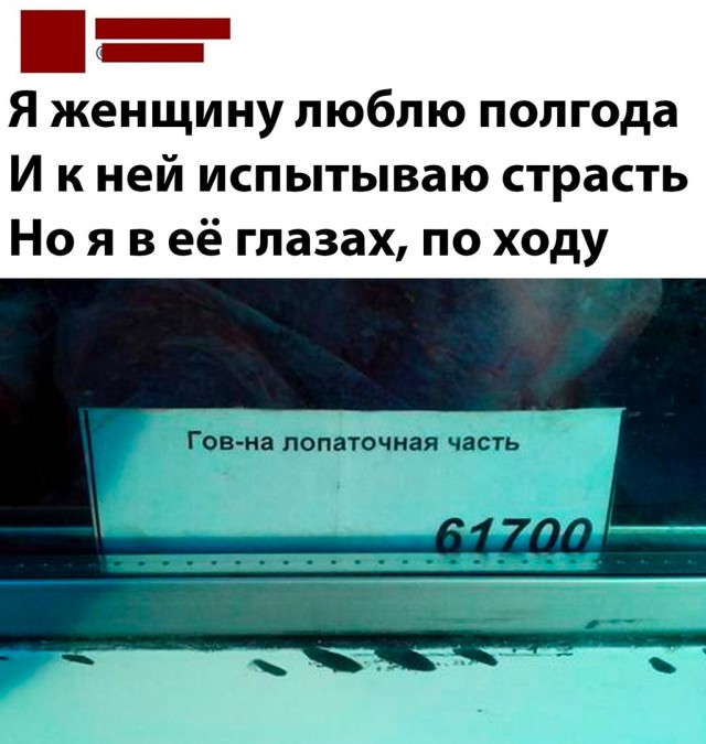 17261711.jpg