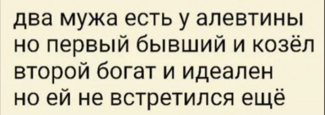 Весёлый полтишок 08.11.22