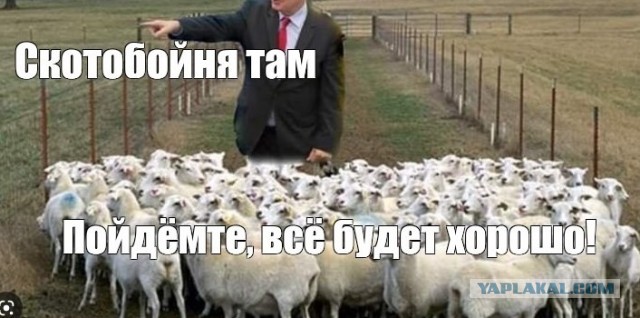 В Кремле заявили, что не обсуждают новую мобилизацию