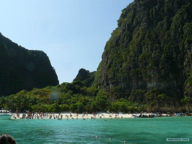 Немного Тая