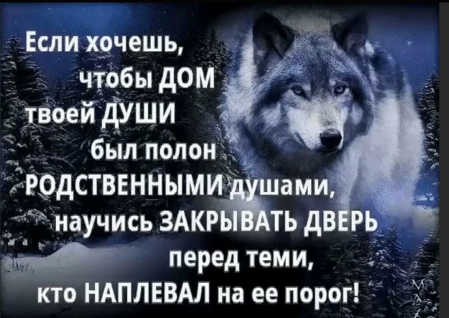 Победная поступь идиотизма по планете – том 4