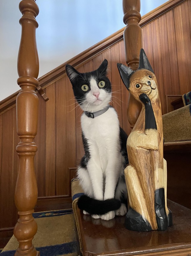 Подборка интересных и прикольных фото из Сети 01.04.23