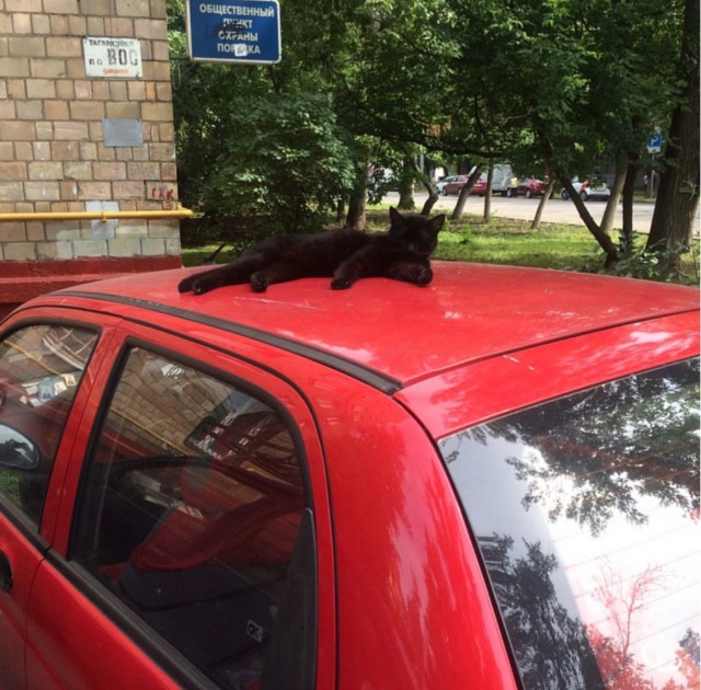 На том же месте в тот же час
