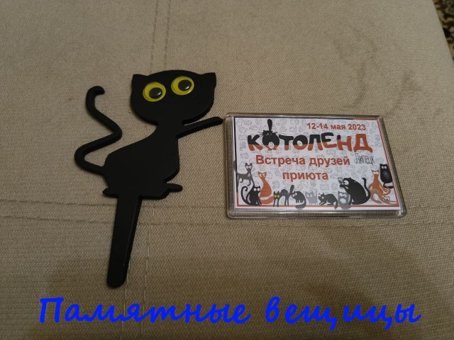 Жизнь домашнего приюта "Котоленд" 388