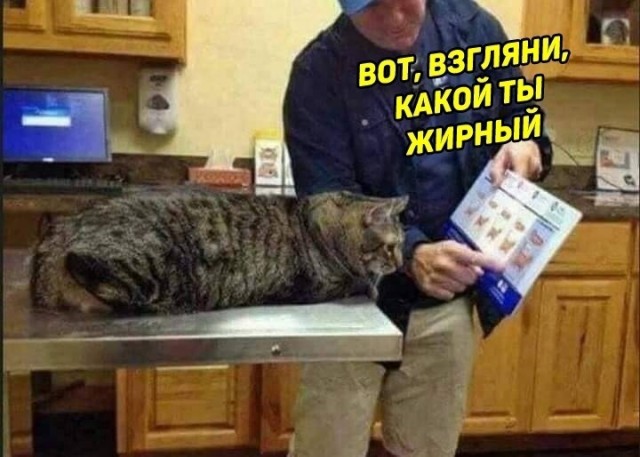 Так себе картинки 29.05.23