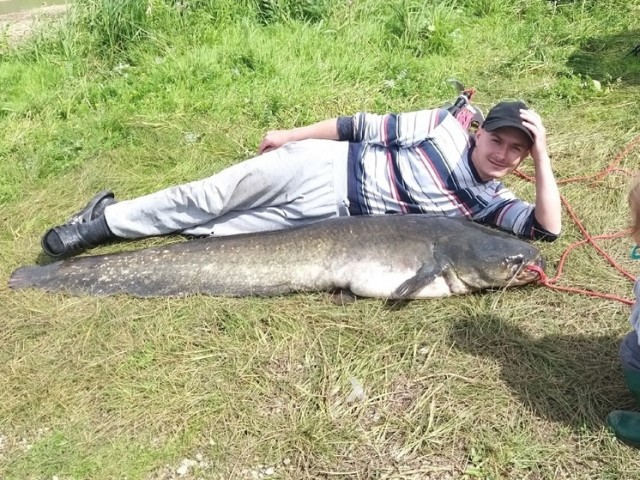 Рязанец на Оке поймал гигантского сома длиной в человеческий рост