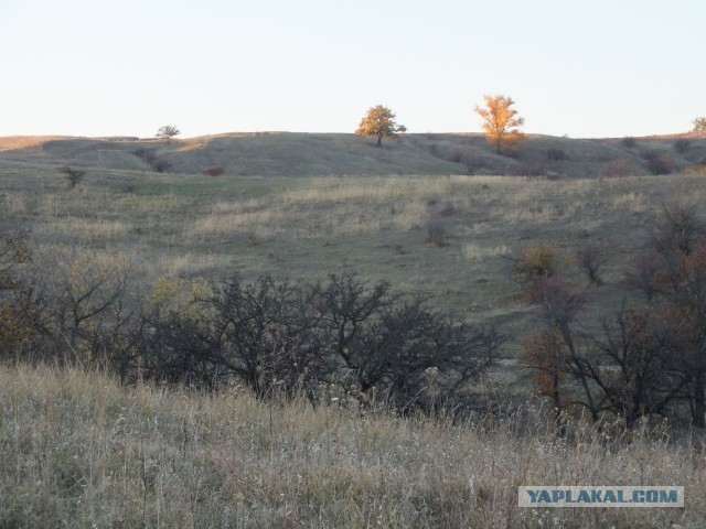 Краски осени