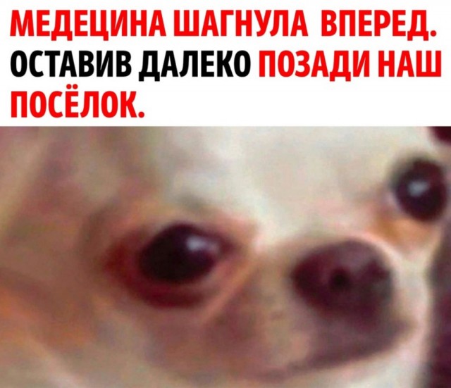 20 картинок
