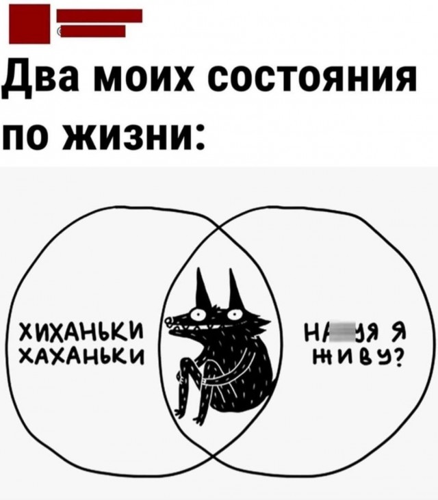 Забавные комментарии из социальных сетей (11.03.24)