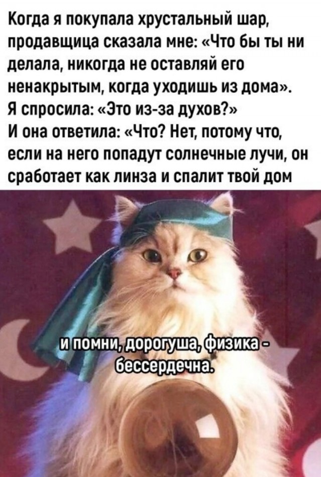 Веселые картинки к пятнице (22.11)
