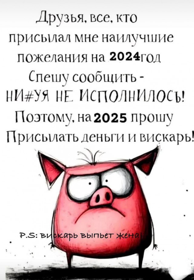 Весёлый полтишок 31.12.24