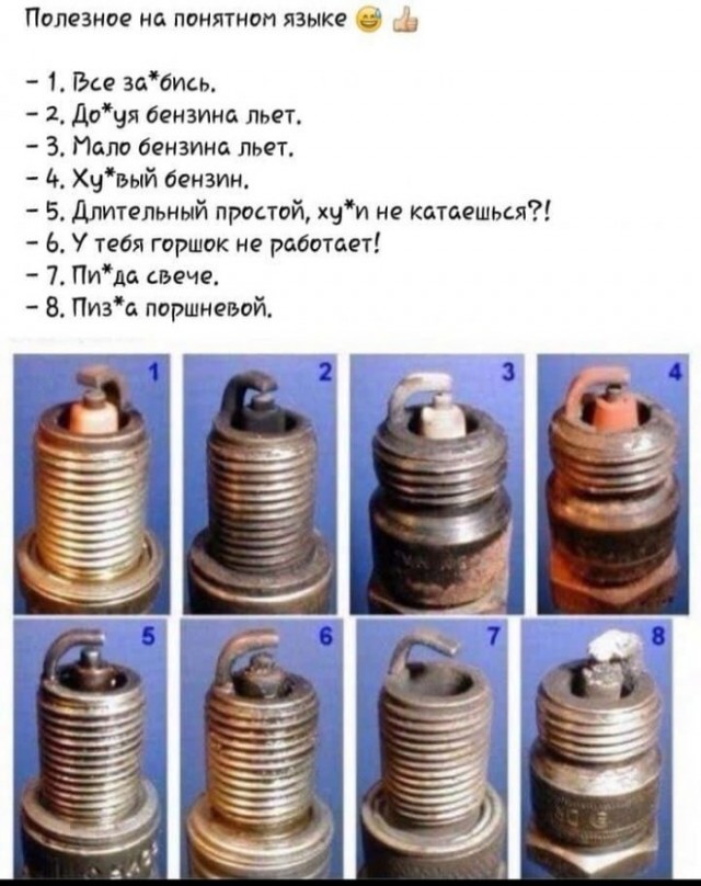 Веселые картинки в понедельник 21.04