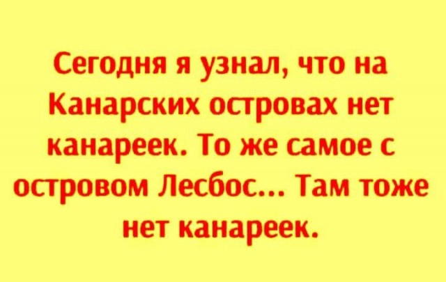 Отсутствие морально этических норм  Vol.17