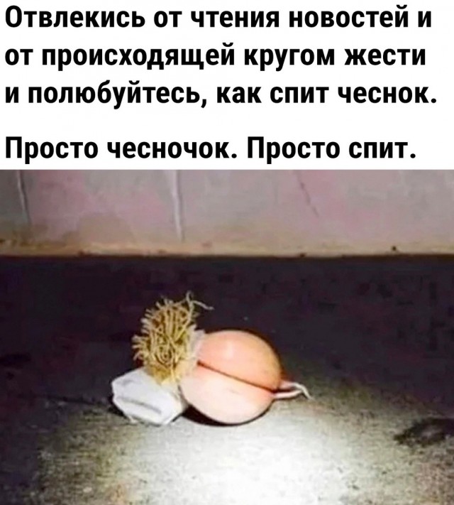 Завалялось тут случайно немного забавных картинок