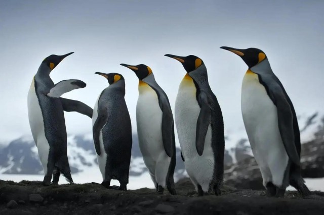 Заряд позитива: взгляните на 25 самых забавных снимков