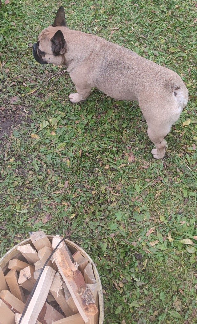 Субботней вечер