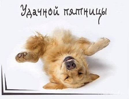 Пятничная сборка