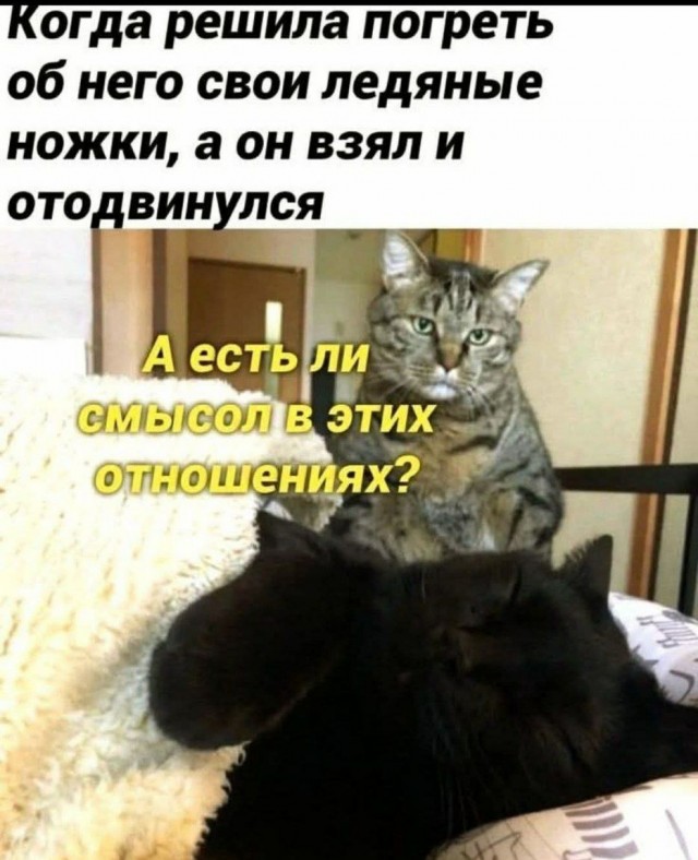 Так себе картинки 16.12.25