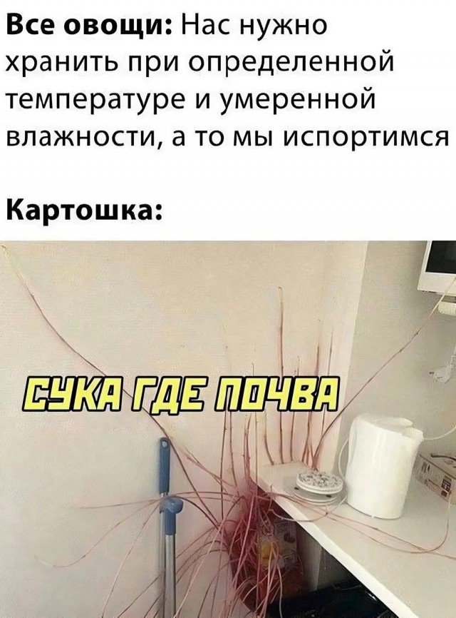 В Поднебесной выпустили цветочный горшок будущее