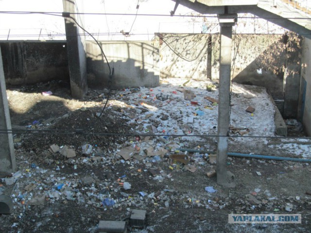 Украина - Беларусь. Две страны, два образа жизни